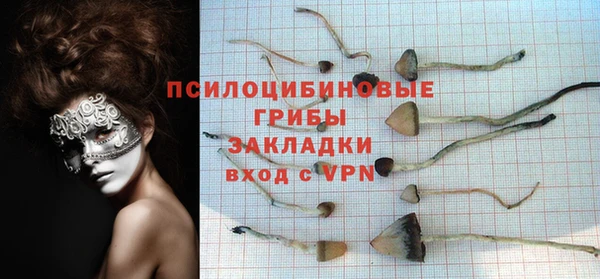 крисы Володарск
