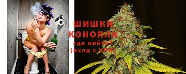 крисы Володарск